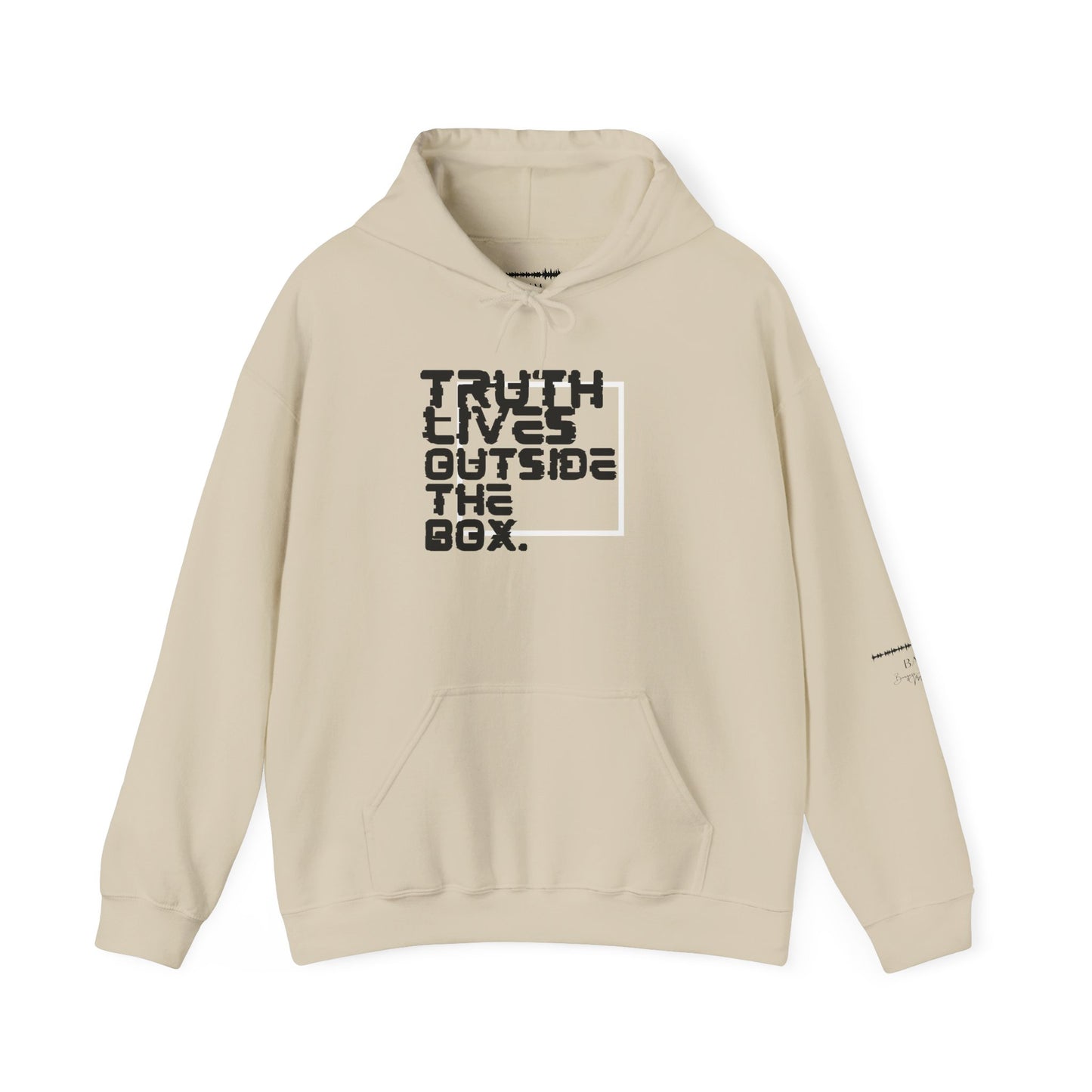 “Outside the Box” Glitch Hoodie – Truth Can’t Be Contained