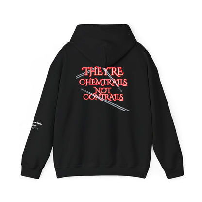 Question Everything Hoodie – Free Thinker Graphic Hoodie