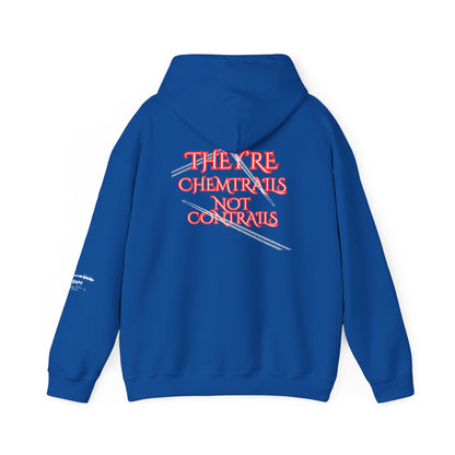 Question Everything Hoodie – Free Thinker Graphic Hoodie