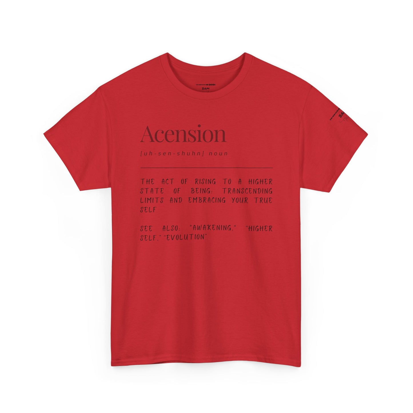 Ascension Unisex Heavy Cotton Tee – Rise Above, Break Limits, Own Your Truth