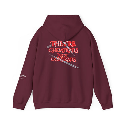Question Everything Hoodie – Free Thinker Graphic Hoodie