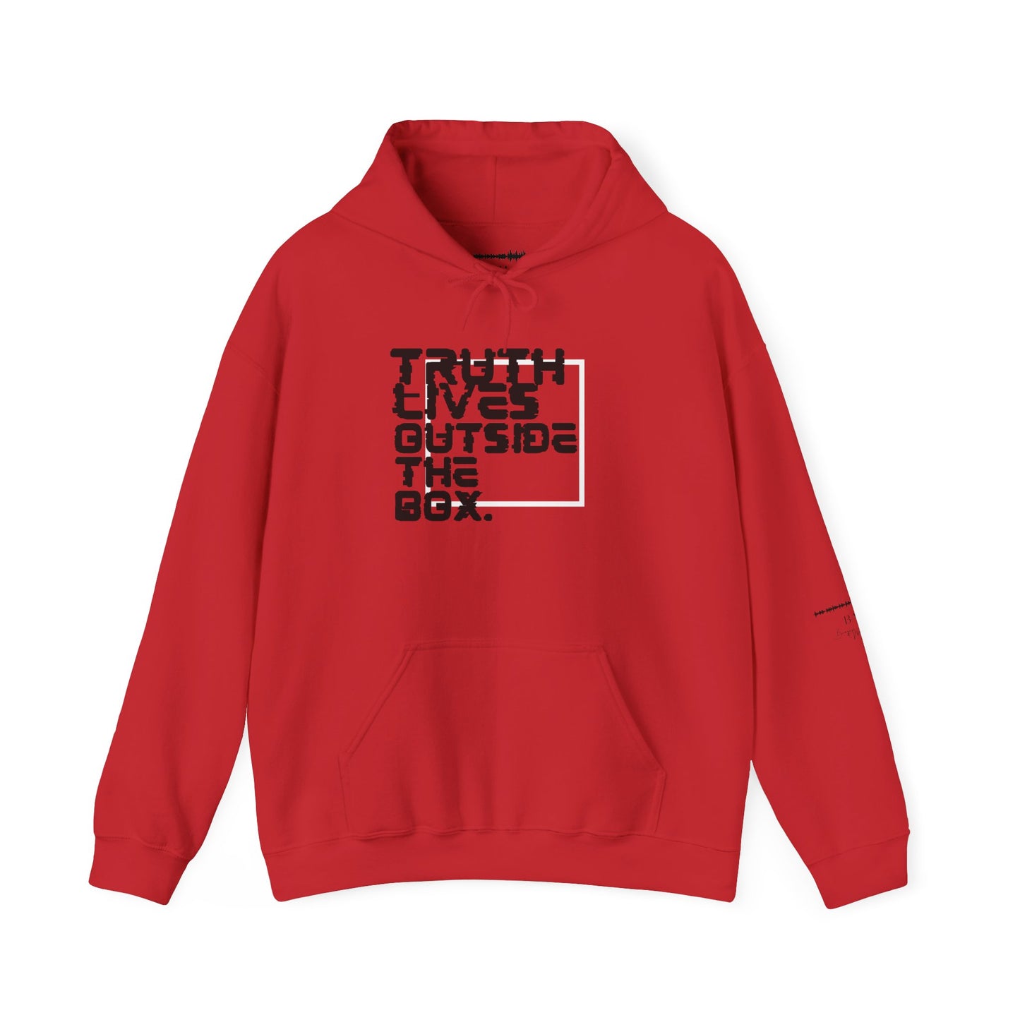 “Outside the Box” Glitch Hoodie – Truth Can’t Be Contained