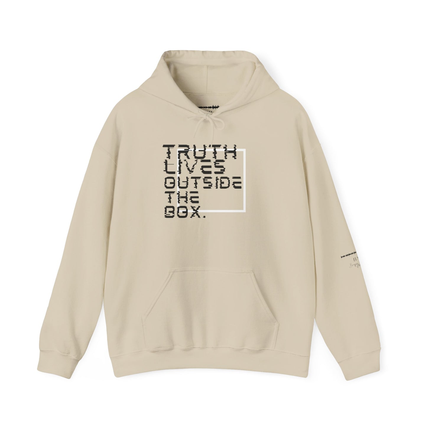 “Outside the Box” Glitch Hoodie – Truth Can’t Be Contained