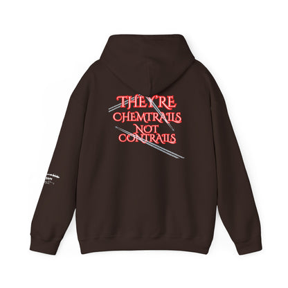 Question Everything Hoodie – Free Thinker Graphic Hoodie